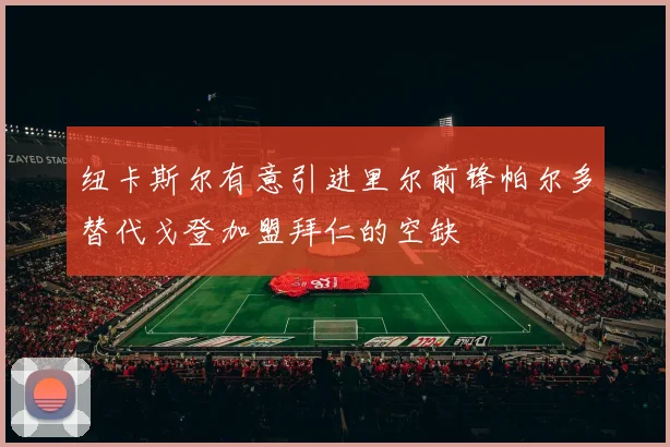 纽卡斯尔有意引进里尔前锋帕尔多替代戈登加盟拜仁的空缺
